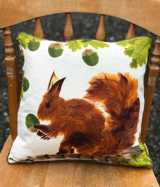 Squirrel