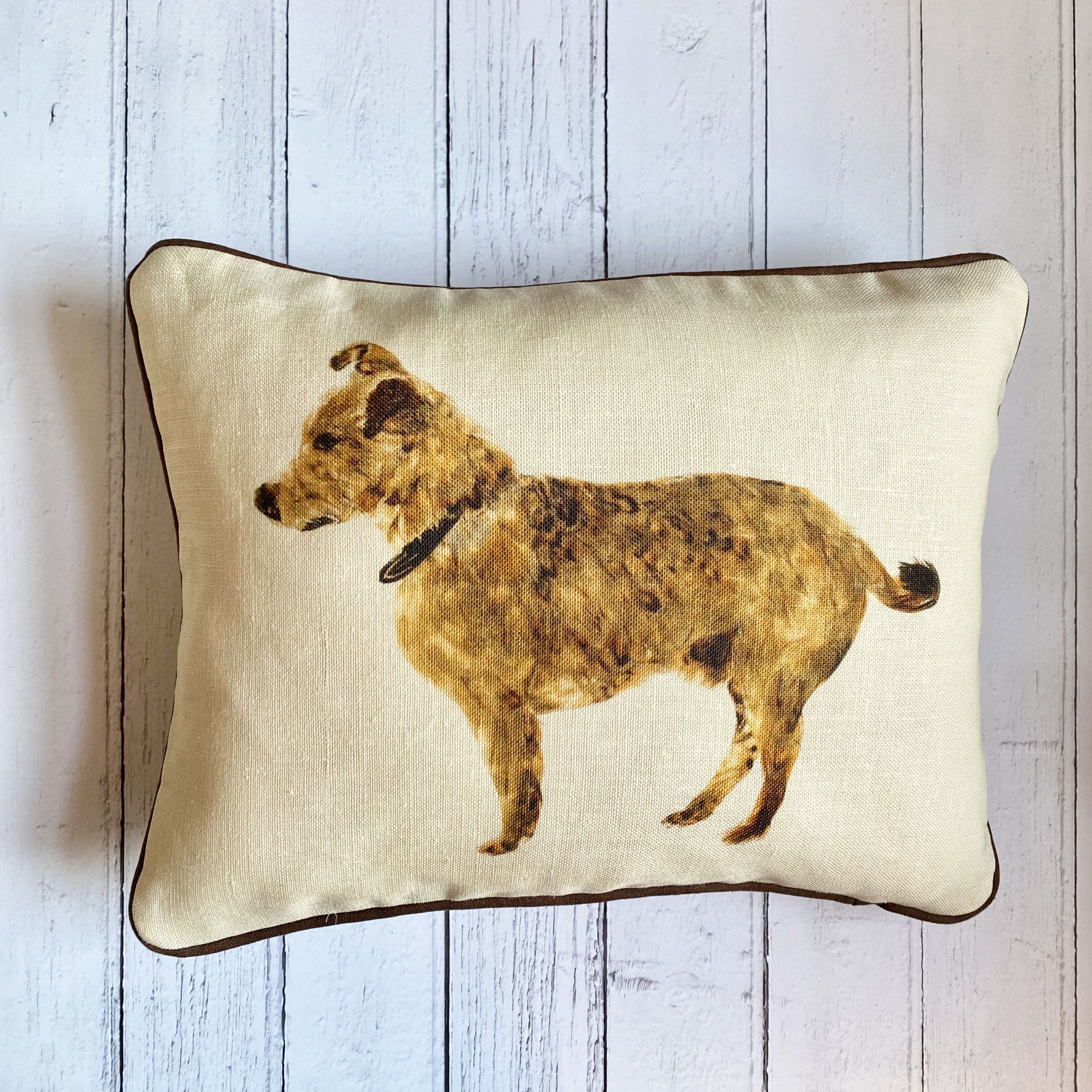 cubby cushion on white