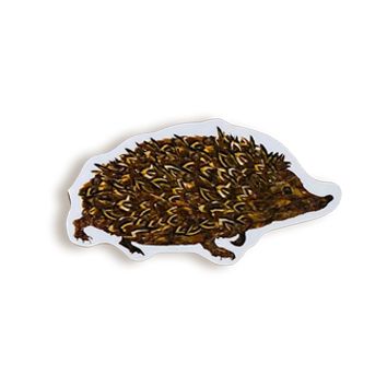 TINY image hedgehog magnet on white