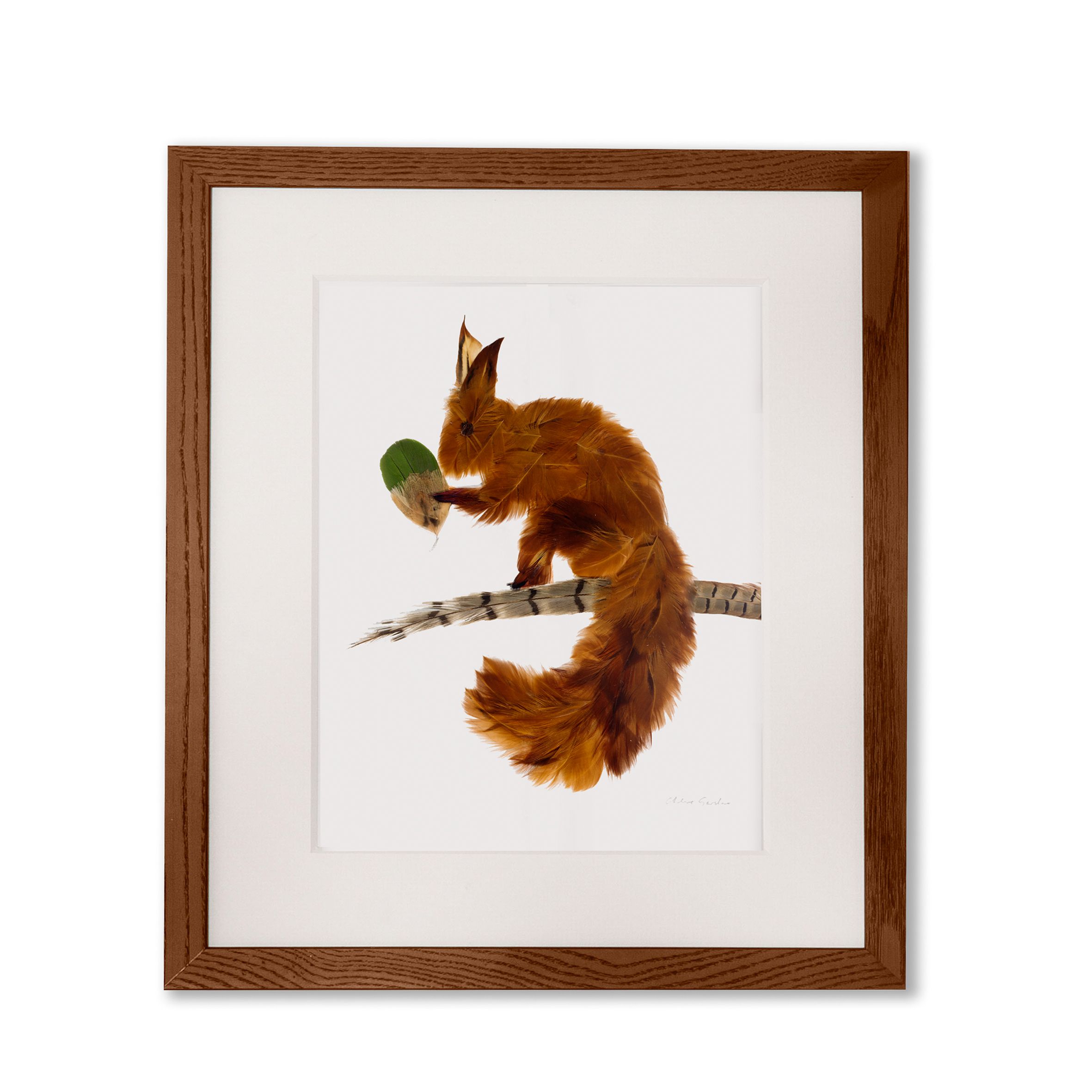 print feather squirrel tail down product image