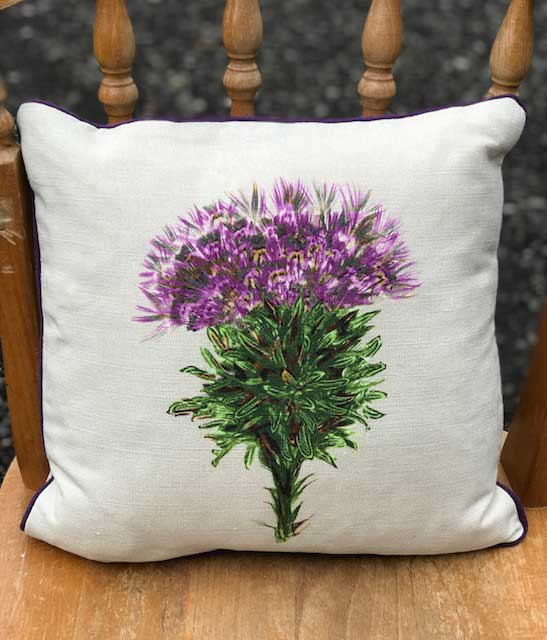 Thistle