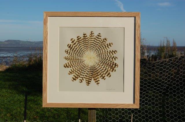 Deposit for Natural Feather Rounds Print - please read description for total.