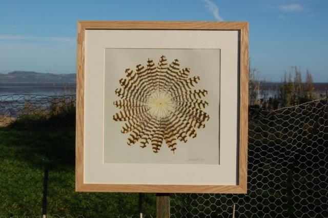 Deposit for Natural Feather Rounds Print - please read description for total.