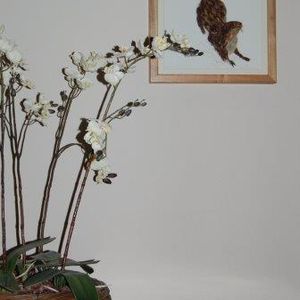 Deposit for Otter Print - please read description for total.