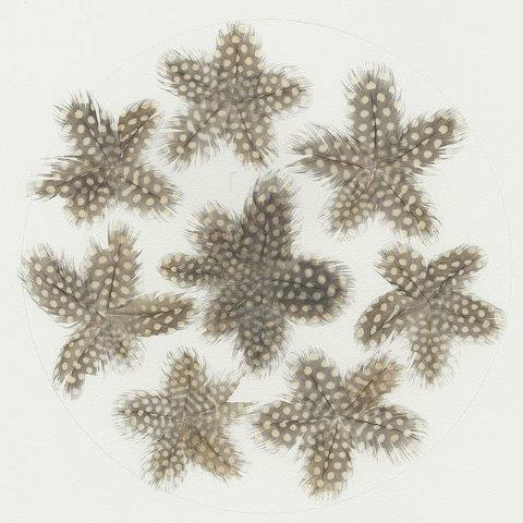 Deposit for Natural Feather Stars Print - please read description for total.