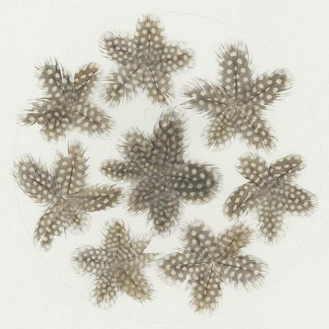 Deposit for Natural Feather Stars Print - please read description for total.