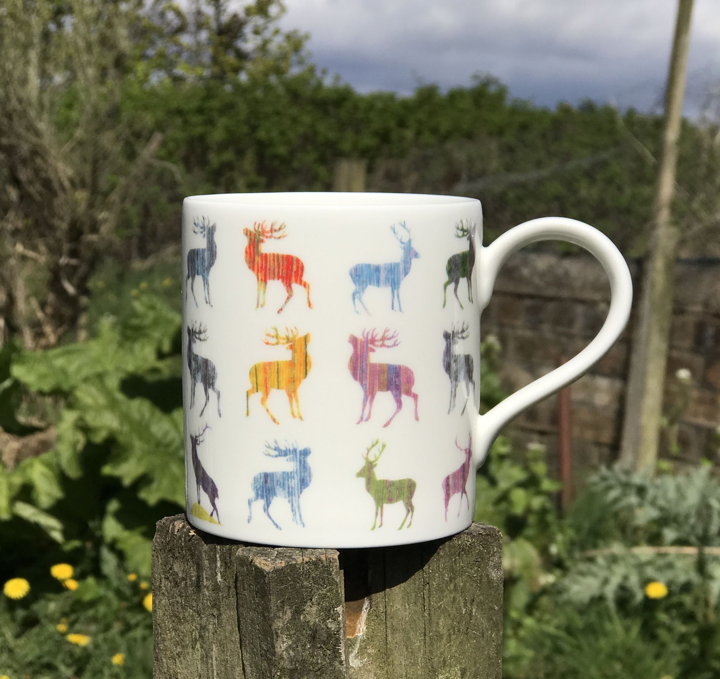 IMG_9687