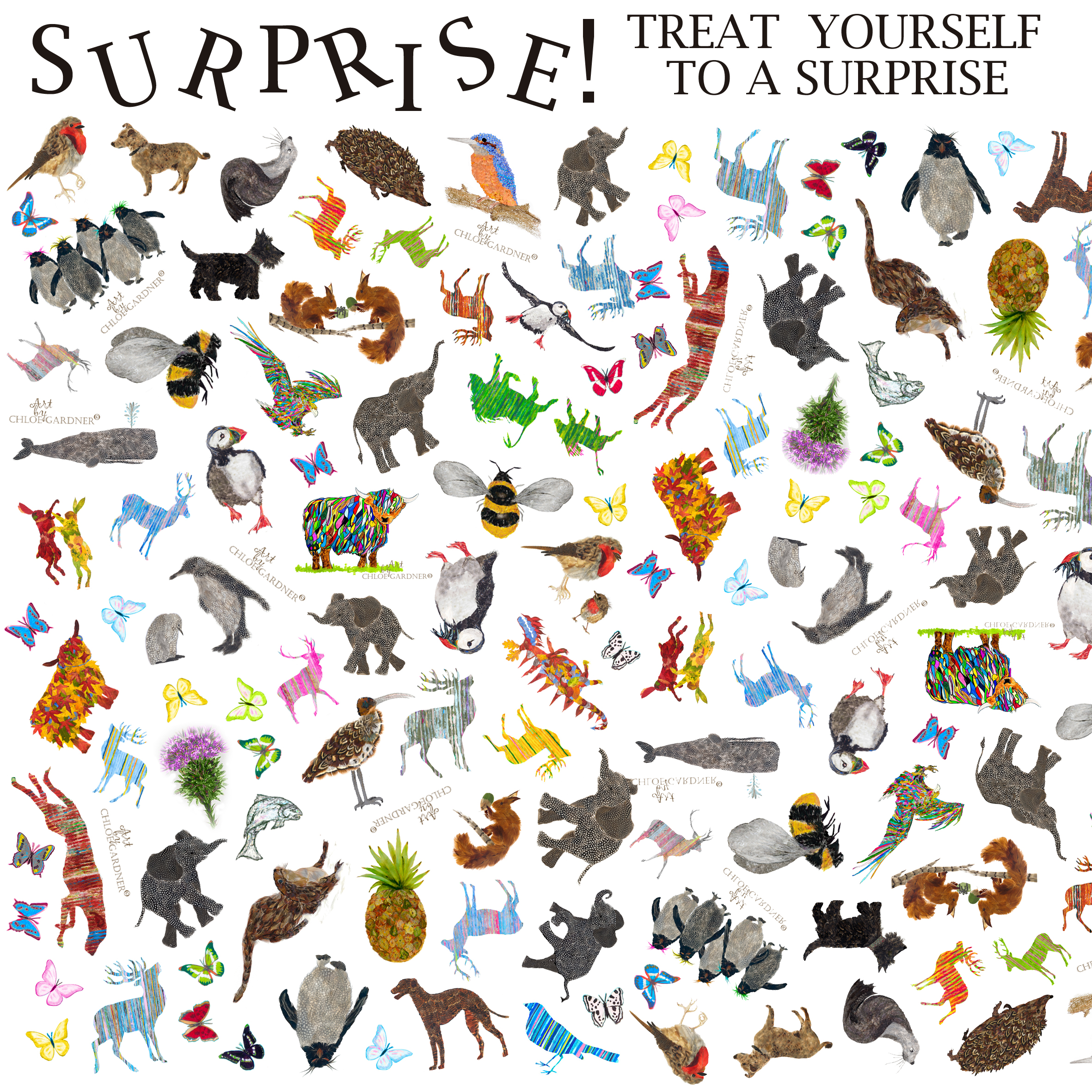 A surprise Item(s)