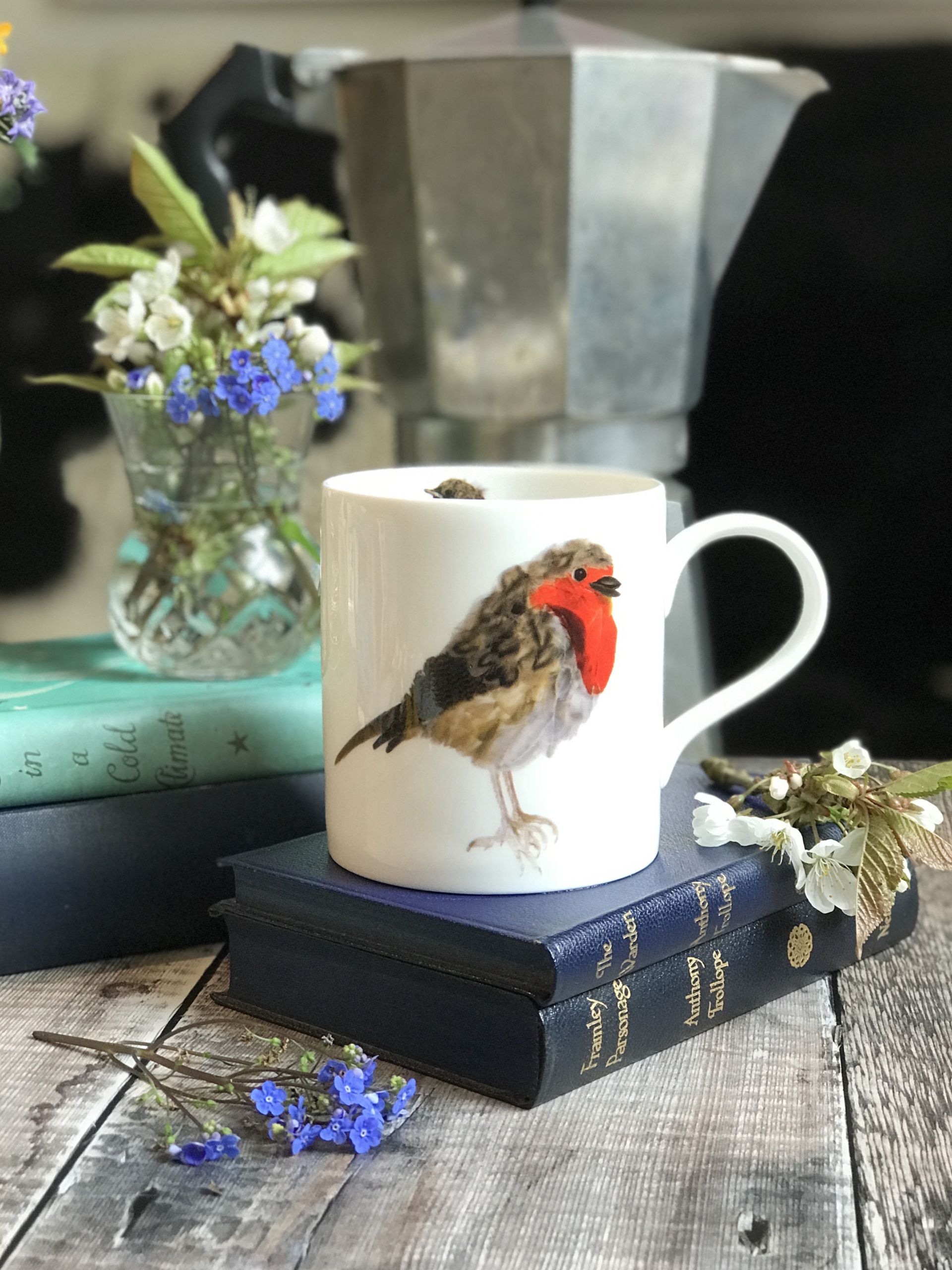 mug pop robin A