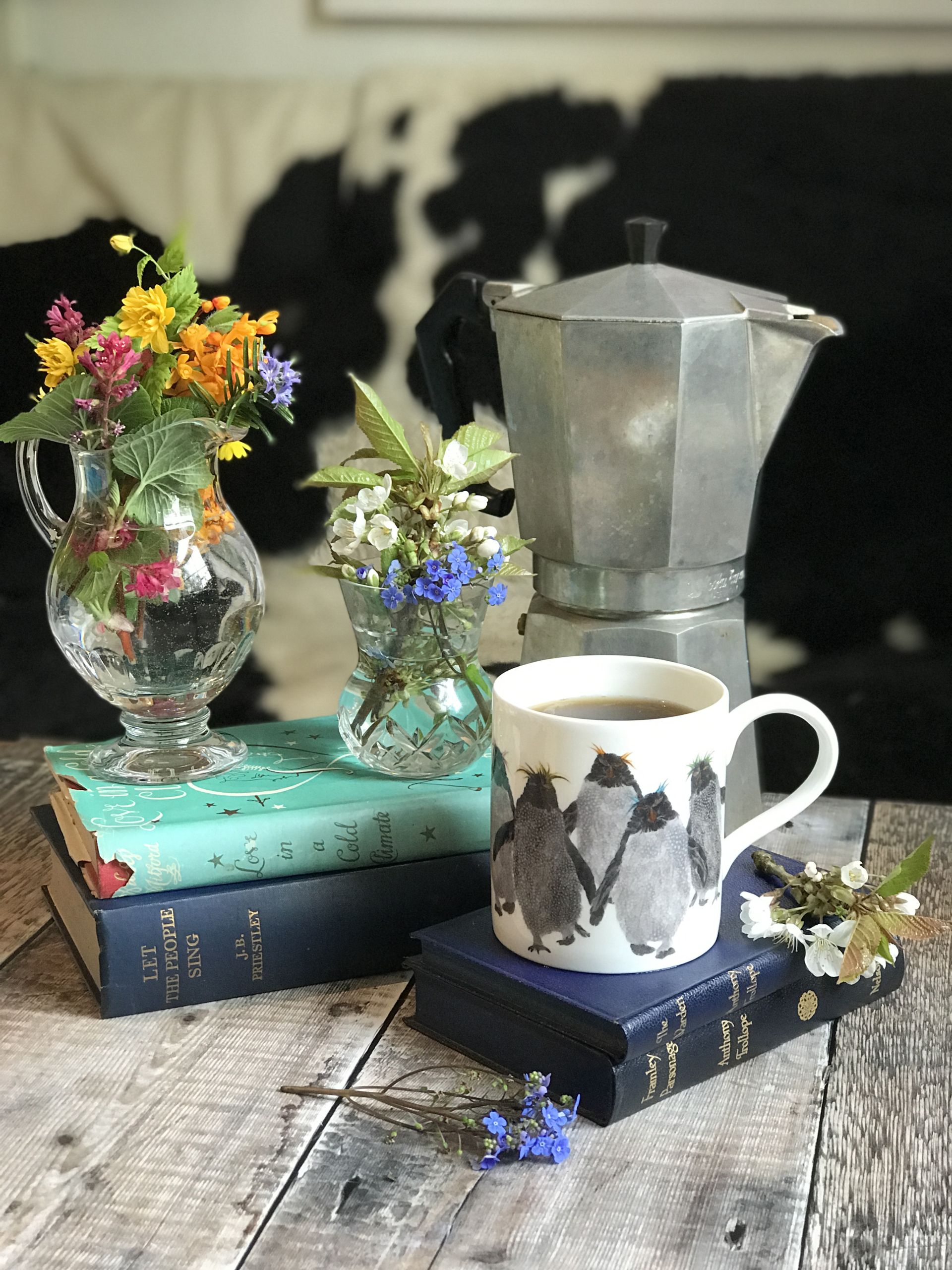 mug pop rockhoppers B