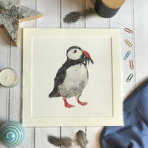 Unframed Print - Square in a mount and bag for 12 inch frame - Puffin with fish  (Avail:5 02/24)