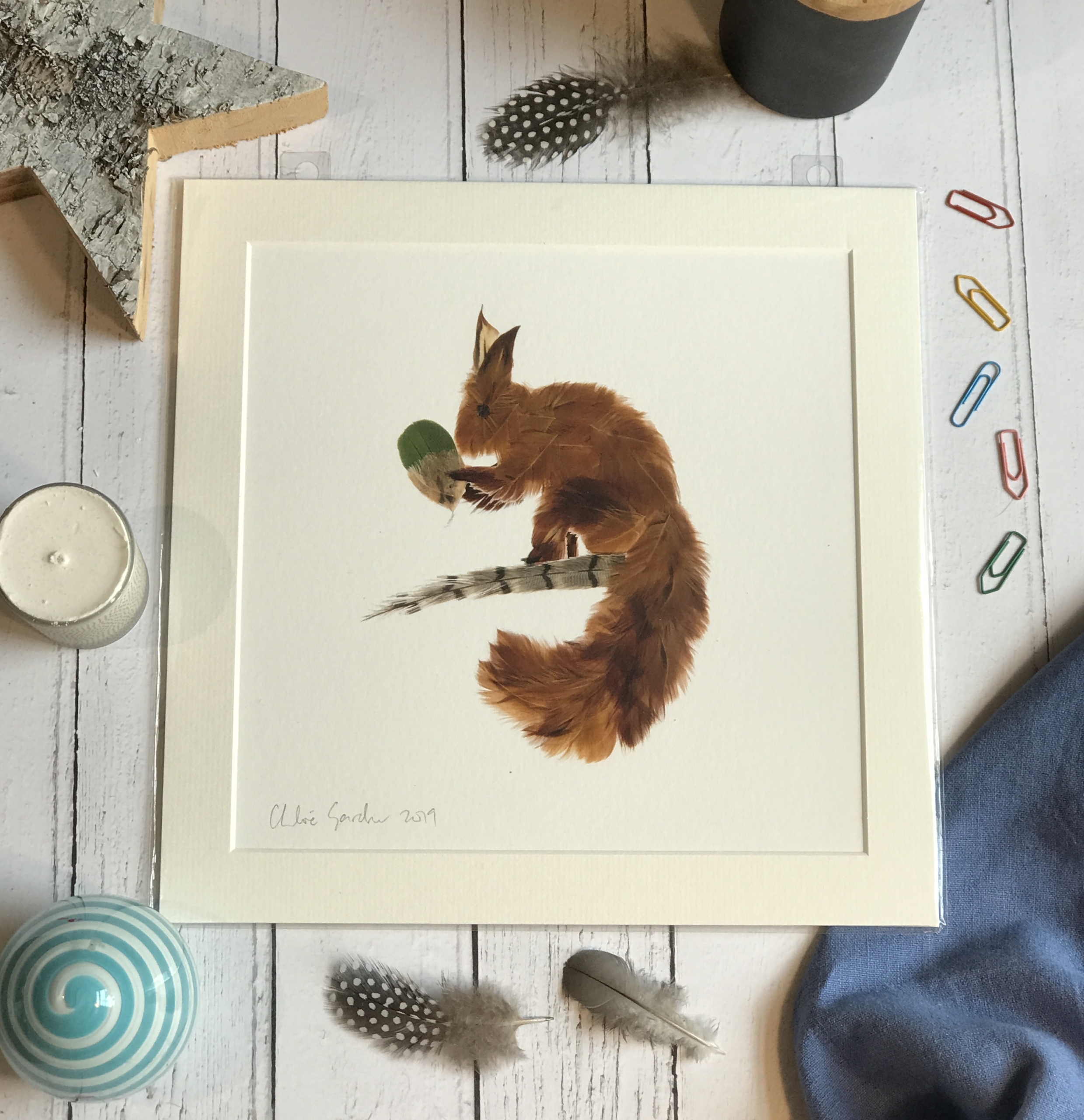 Unframed Print - Square in a mount and bag for 12 inch frame - FEATHER SQUIRREL  (Avail:2 04/26)