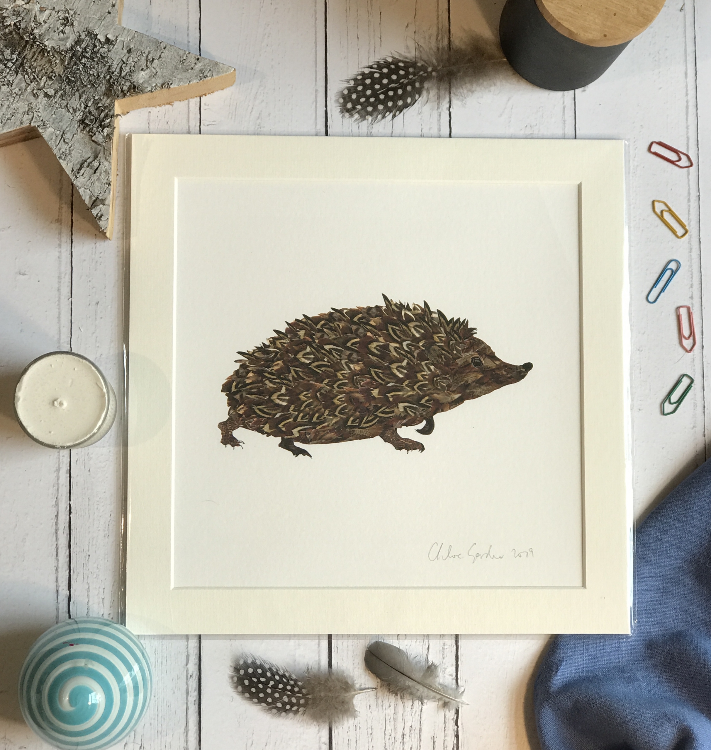 Unframed Print - Square in a mount and bag for 12 inch frame - Hedgehog  (Avail:2 04/26)
