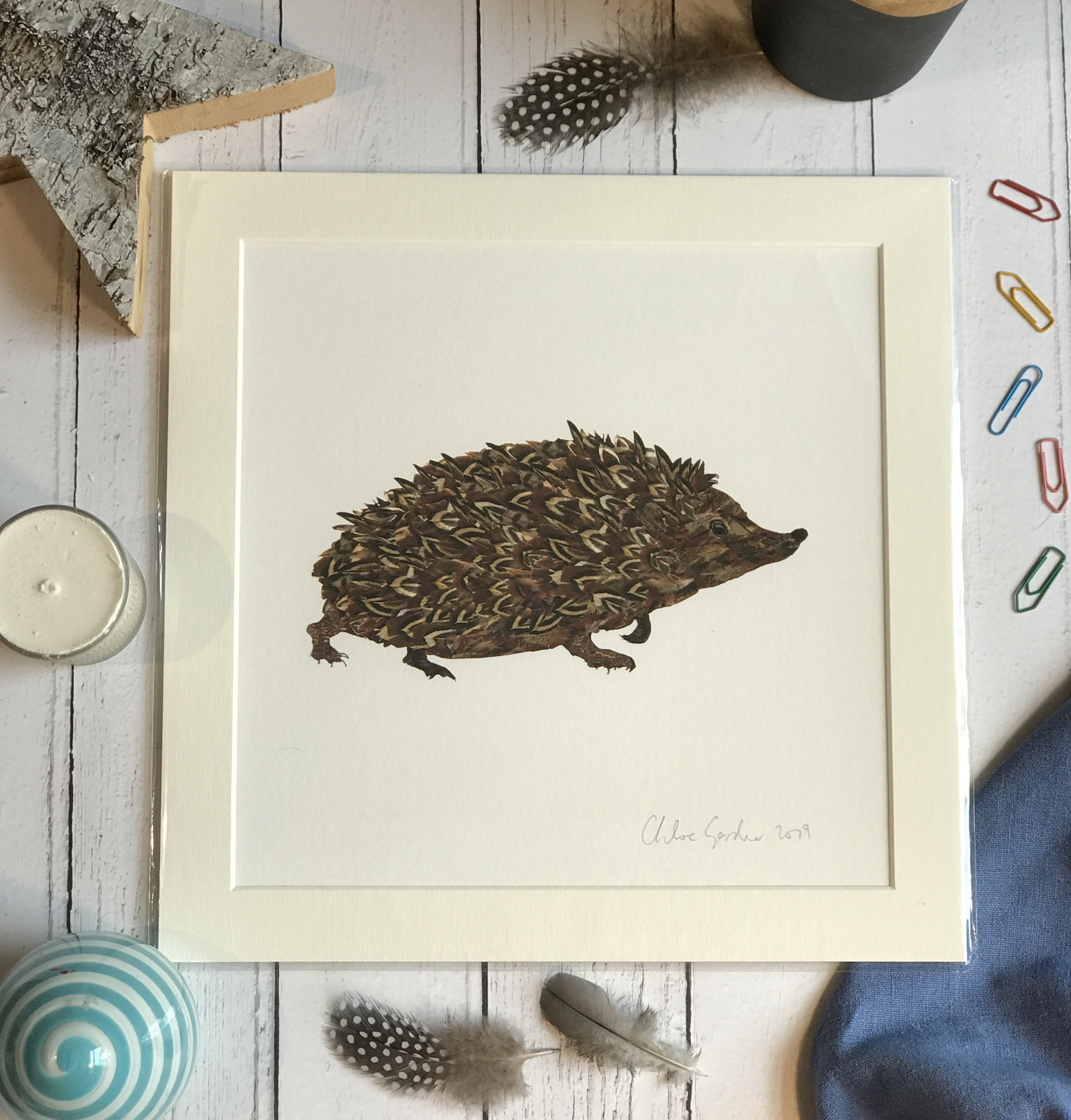 Hedgehog