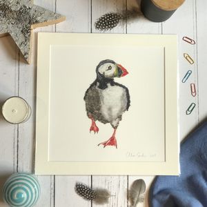 Mini Print - Square in a mount and bag for 8 inch frame - Feather Running Puffin  (Avail:3 04/26)