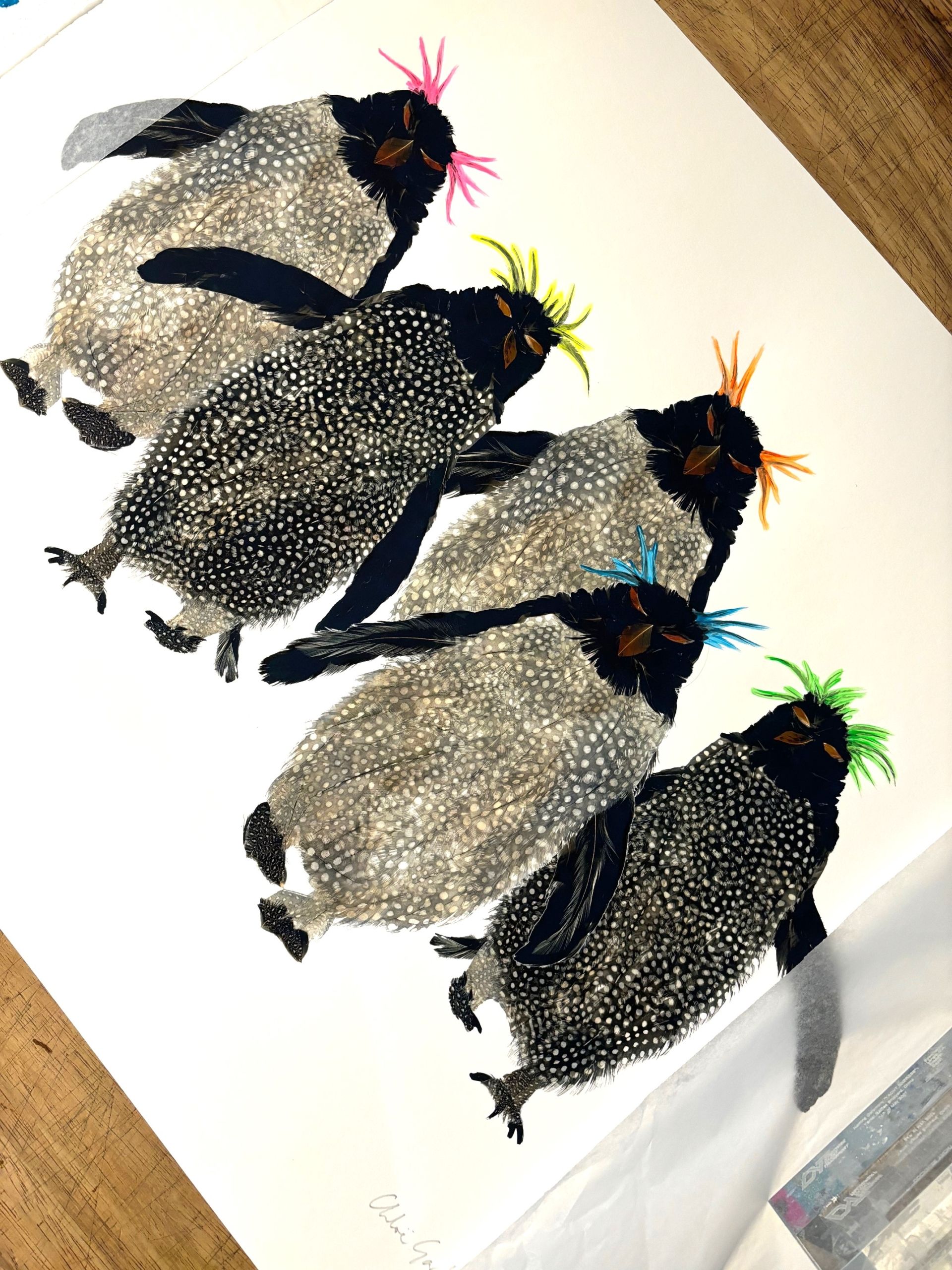 Rockhopper five with Fluoro tops