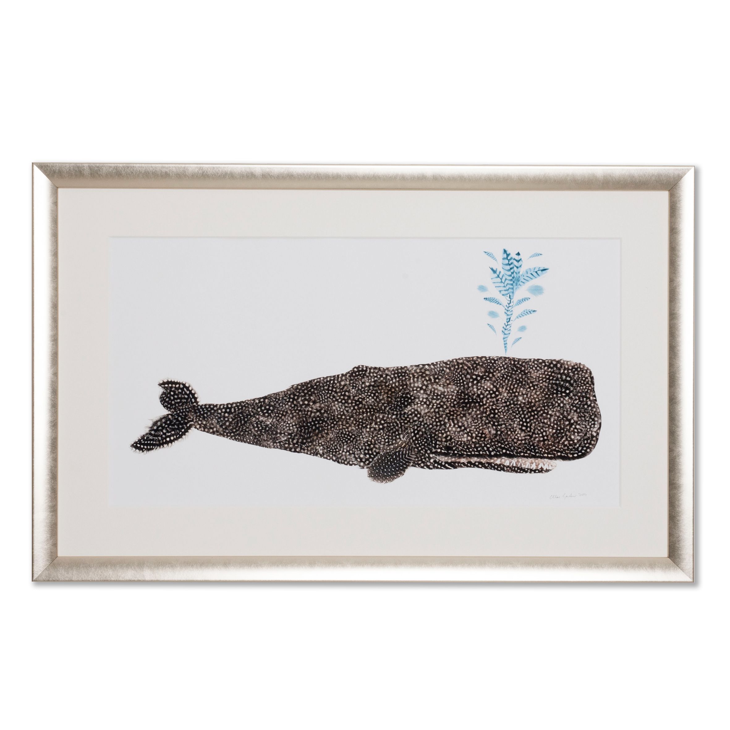 Order a Whale Print - various sizes