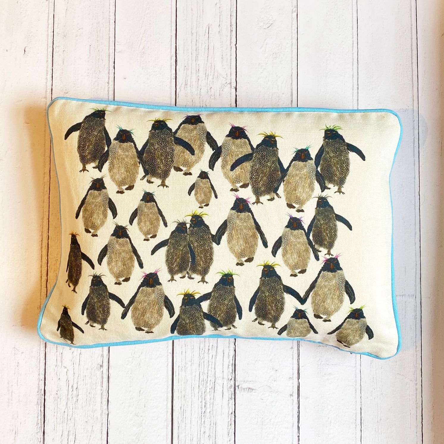 Rockhopper repeat cushion small with blue piping onwhite wood A