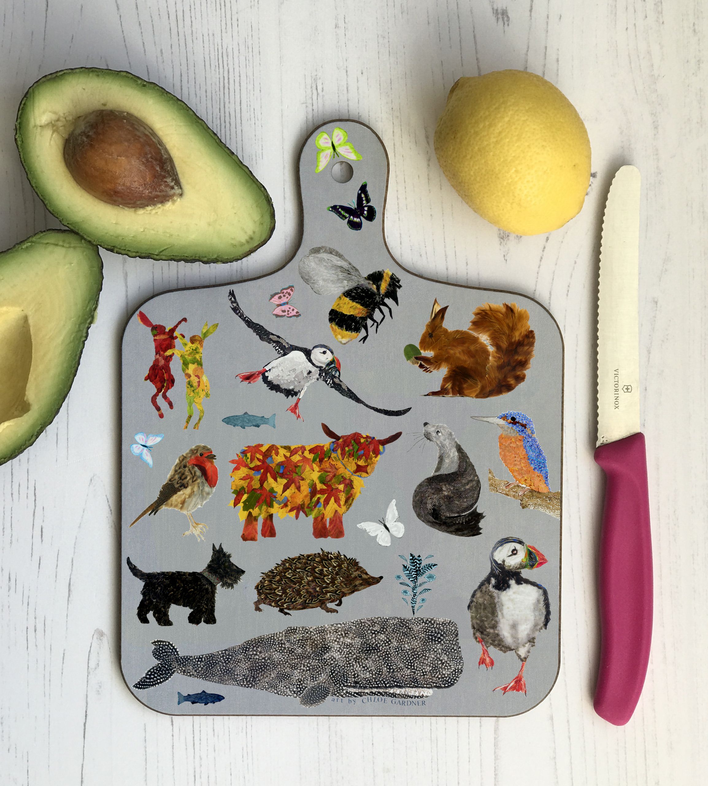 lifestyle photos small board medley back