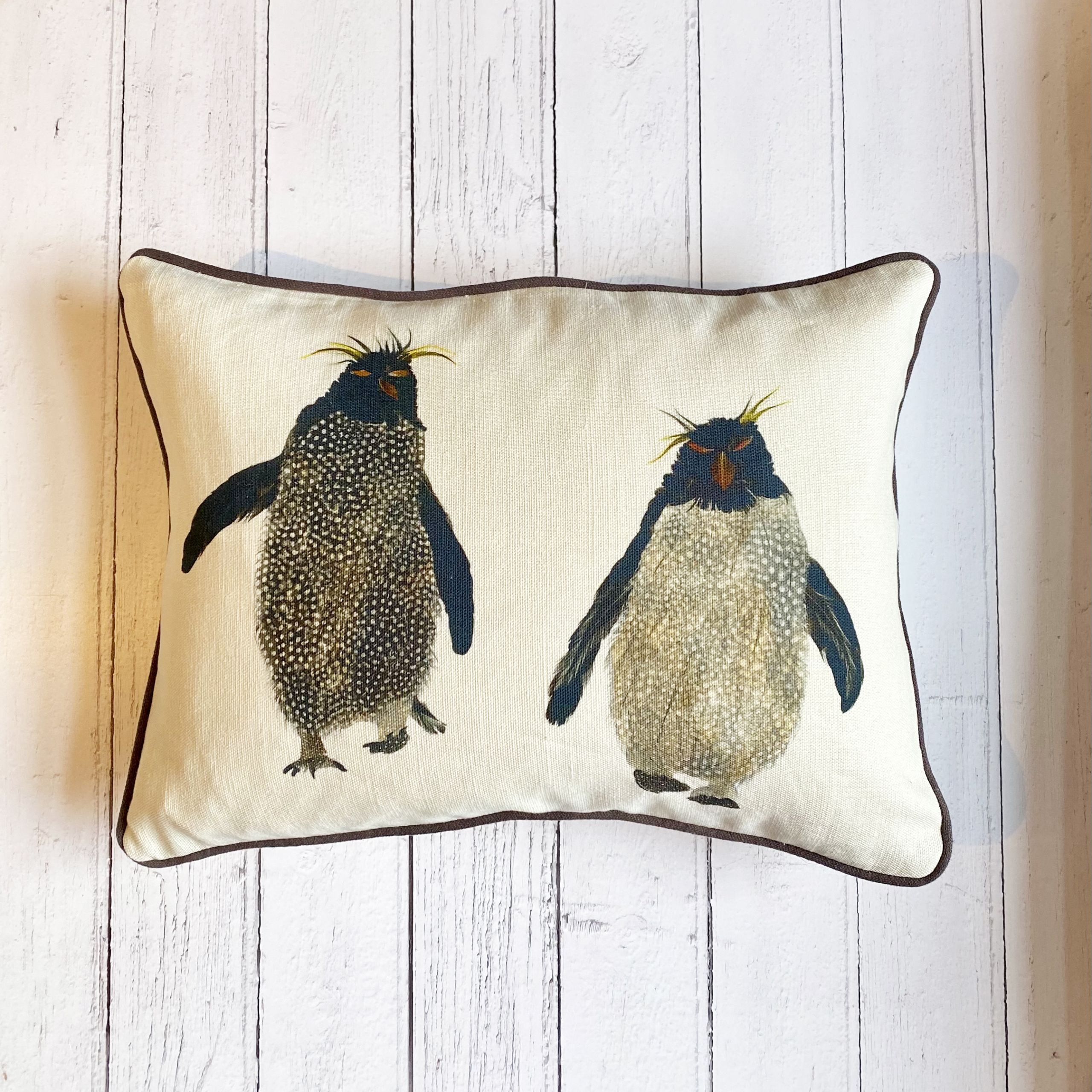 Rockhopper pair cushion on white wood B charcoal piping