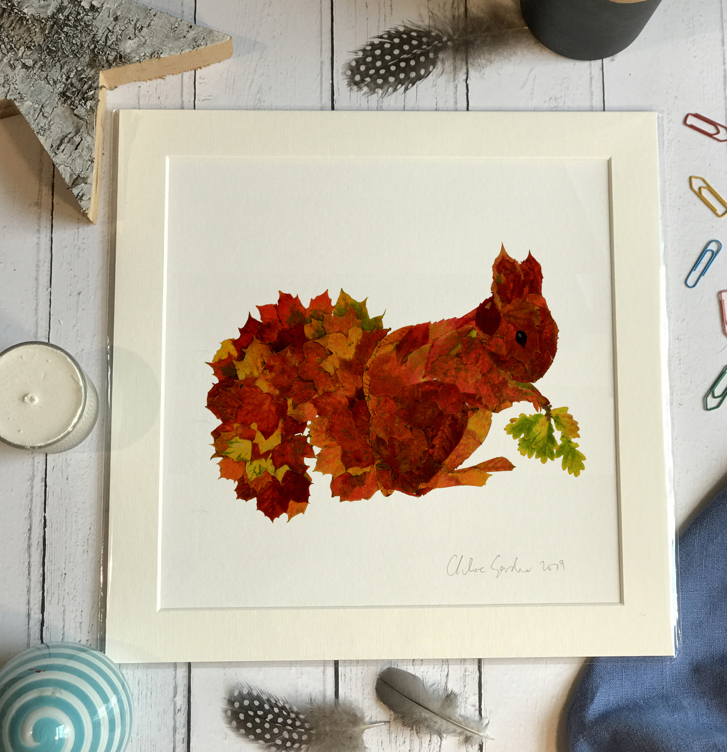 Unframed Print - Square in a mount and bag for 12 inch frame - LEAF SQUIRREL  (Avail:2 04/26)