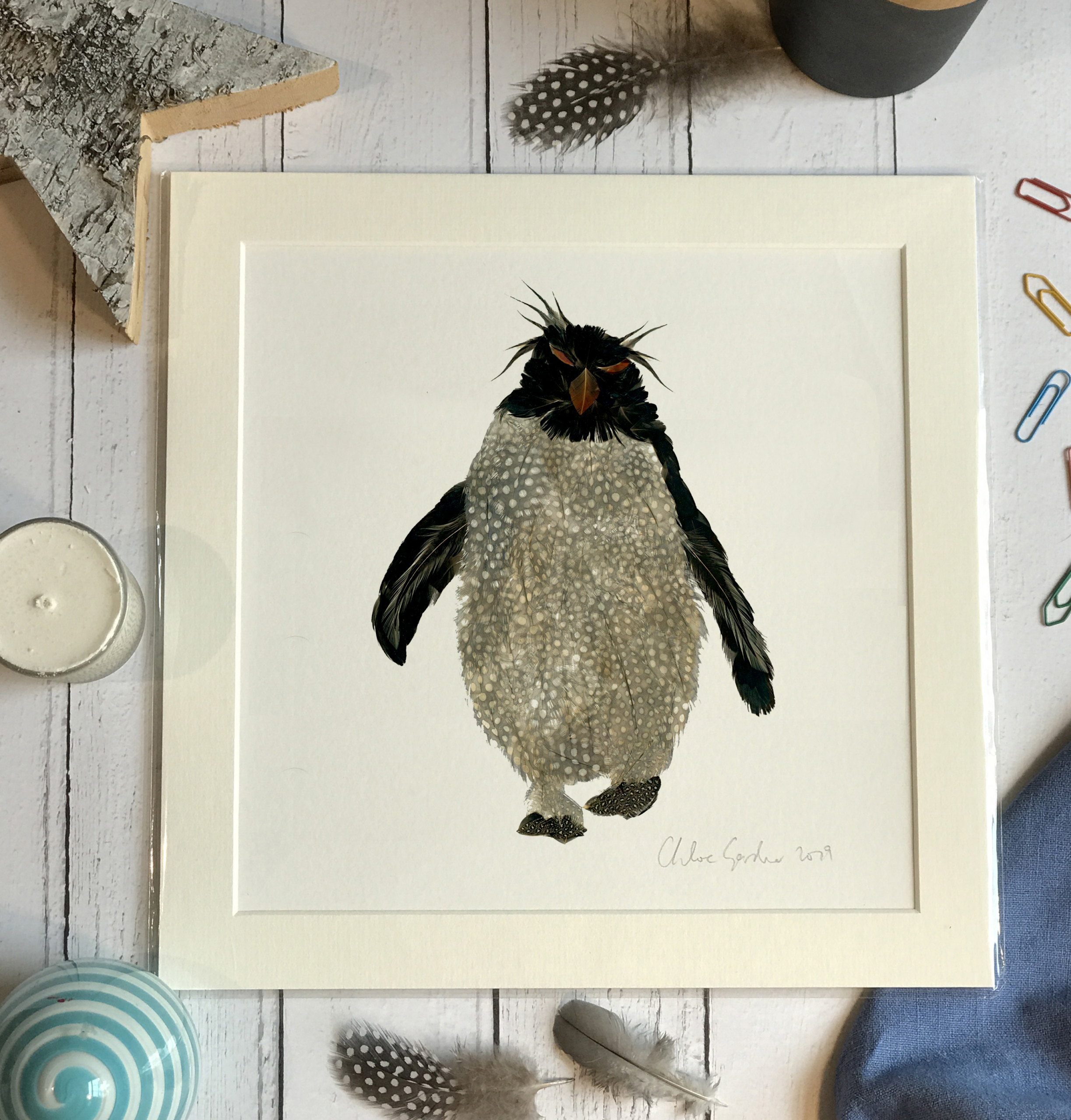 Unframed Print - Square in a mount and bag for a 12 inch frame - Single rockhopper with mad grey hair  (Avail:5 04/26)
