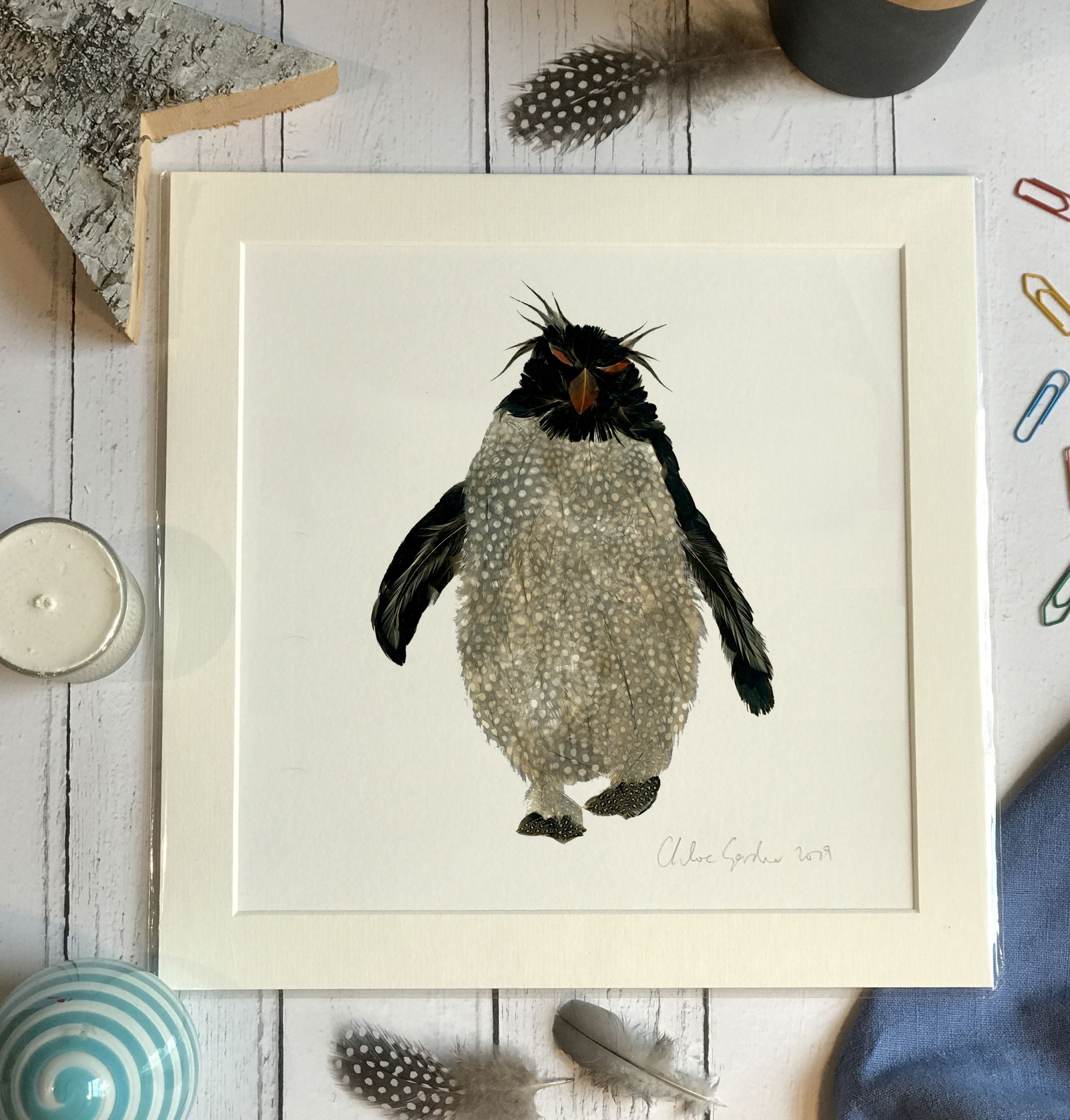 Unframed Print - Square in a mount and bag for a 12 inch frame - Single rockhopper with mad grey hair (Avail:5 04/26)