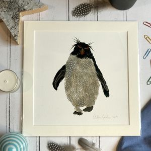 Unframed Print - Square in a mount and bag for a 12 inch frame - Single rockhopper with mad grey hair (Avail:5 04/26)
