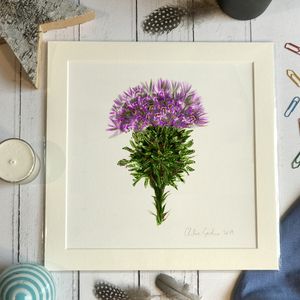 Mini Print - Square in a mount and bag for 8 inch frame - Thistle (Avail:3 04/26