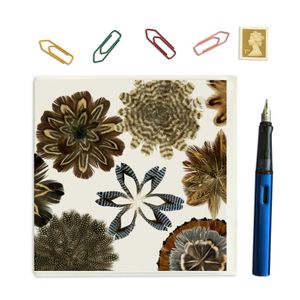 CARD SQUARE- Feather Square no. 2 with a Star