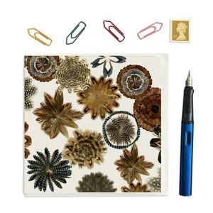 PACK OF 3 - CARD SQUARE - Feather Square no. 3 with a complete Jay feather spiral