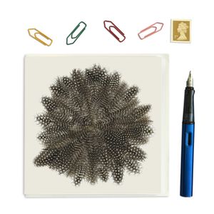 PACK OF THREE CARD SQUARE - Black Guinea Feather Round
