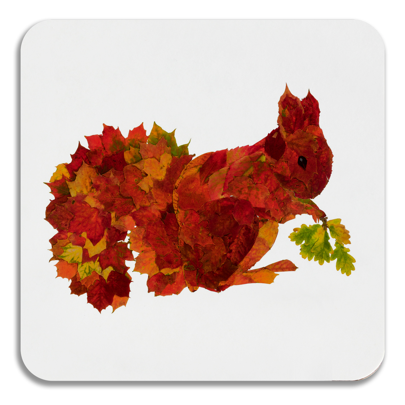 COASTER - Leaf Squirrel Design
