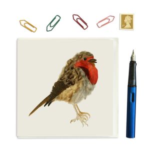 CARD SQUARE - Robin in Feathers