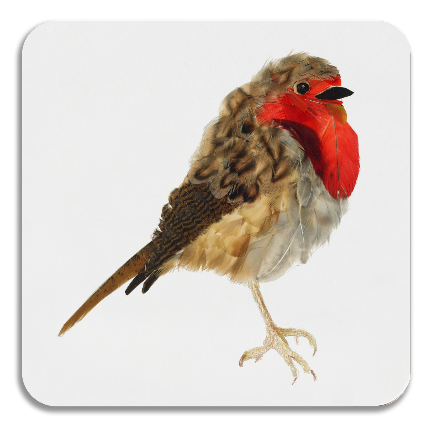 COASTER - Robin Design