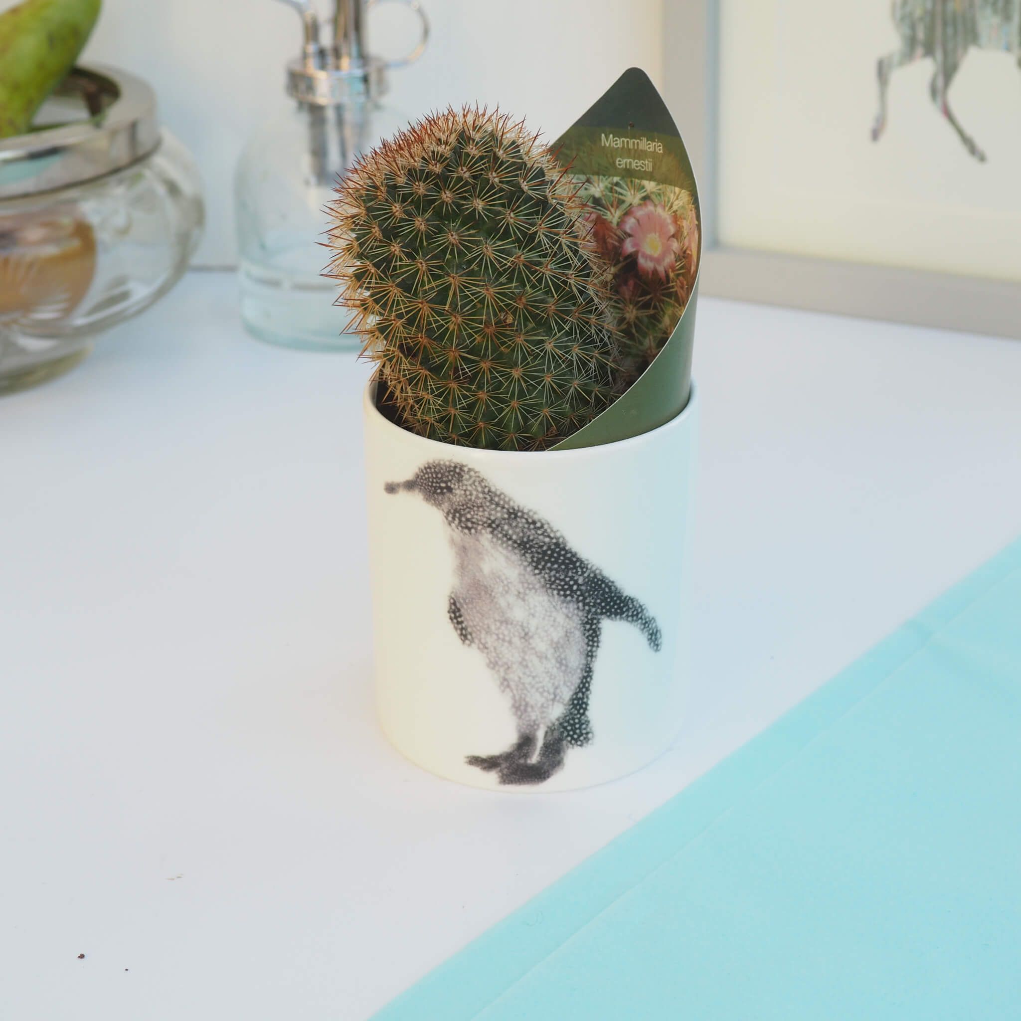 Penguin with plant in wrap