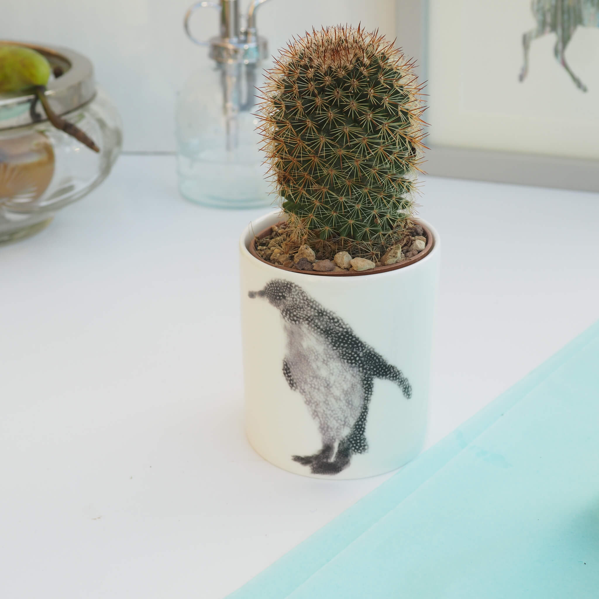 Ceramic Pot with Cactus Plant Penguin and Baby