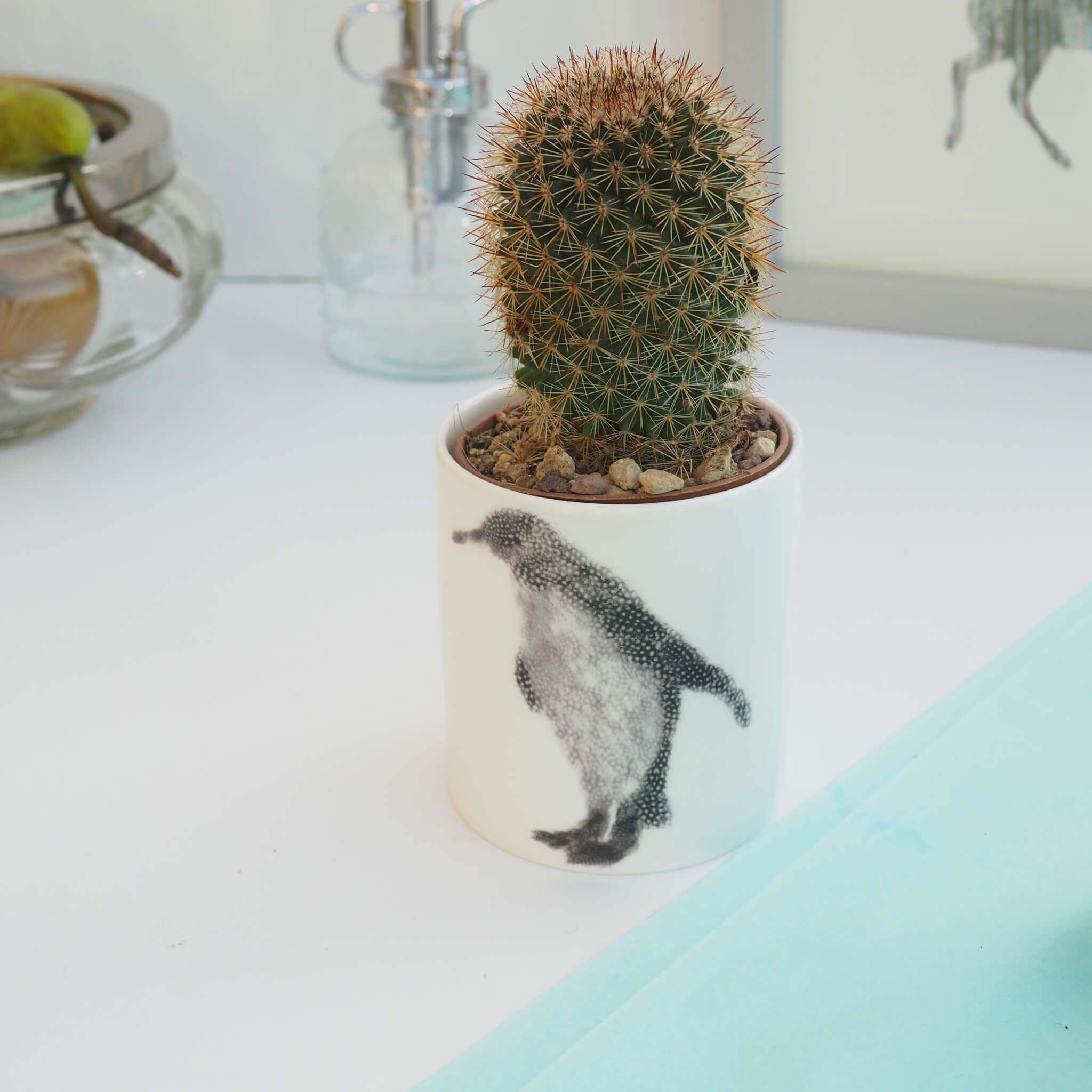 Ceramic Pot with Cactus Plant Penguin and Baby