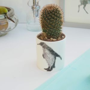 Ceramic Pot with Cactus Plant Penguin and Baby