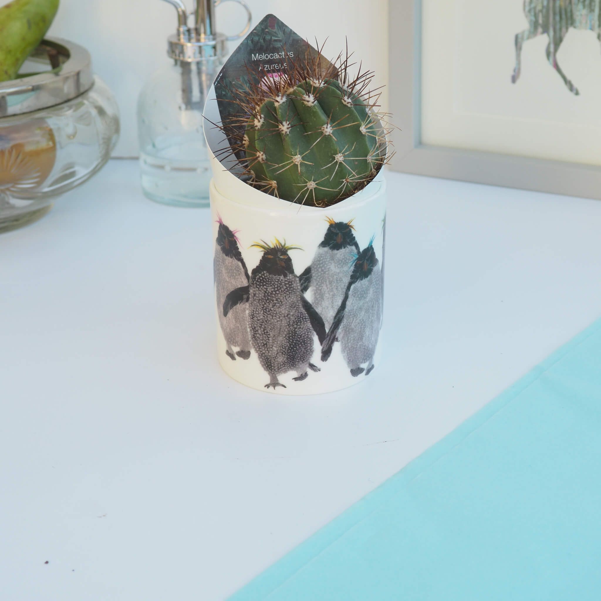 Rockhopper With Plant