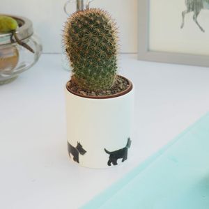 Ceramic Pot with Cactus Plant Scottie Dogs