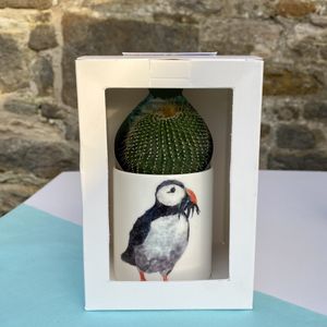 Ceramic Pot with Cactus Plant Puffin