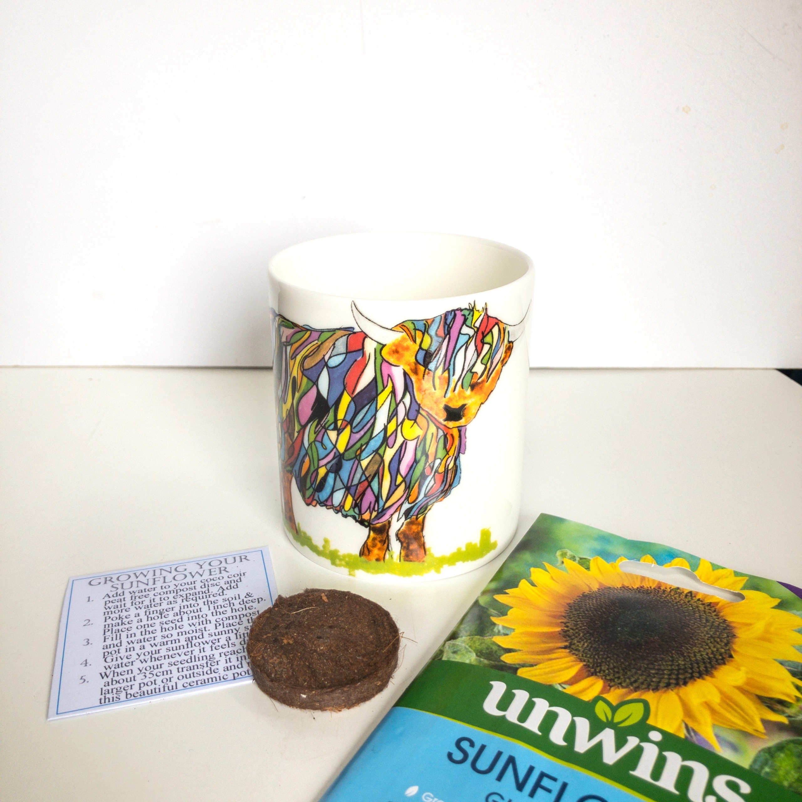Fine Bone China Pot with Sunflower Seed Bright Highland Cow