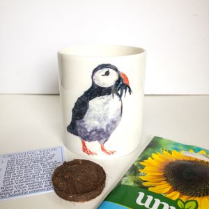Fine Bone China Pot with Sunflower Seed Puffin and Fish