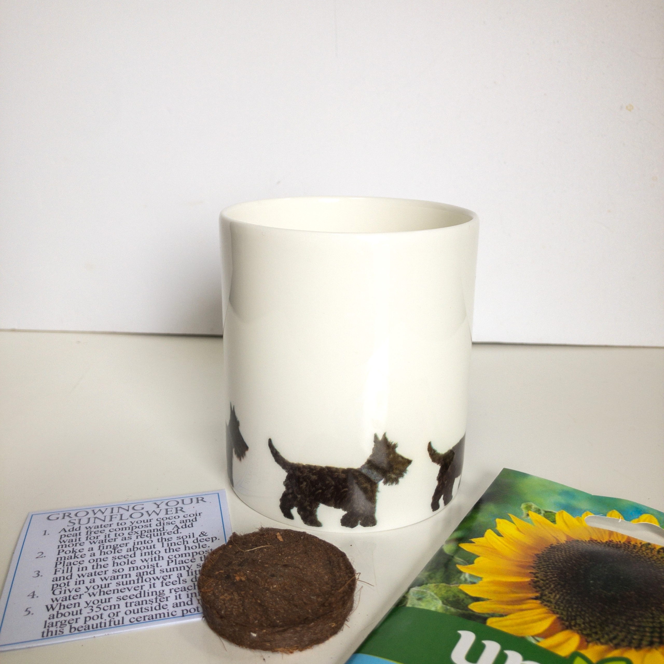 Fine Bone China Pot with Sunflower Seed Scottie Dogs (Row)
