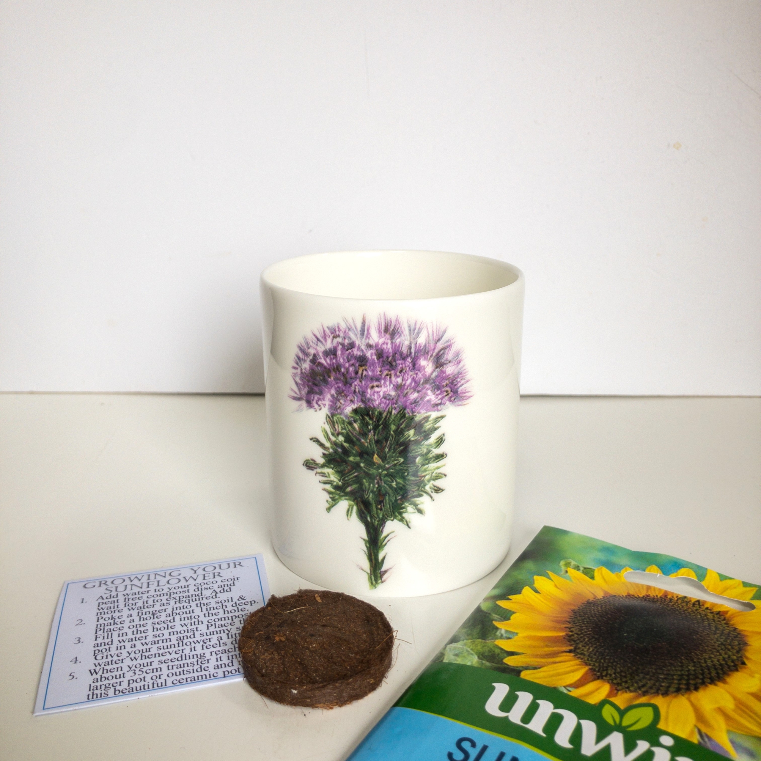 Fine Bone China Pot with Sunflower Seed Thistle