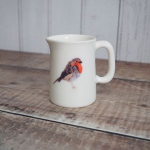 SECONDS JUG 1/4 Pint Mini Jug - Robin (Mar24)