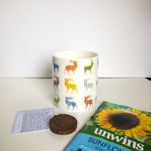 Fine Bone China Pot with Sunflower Seeds Multi Stags Design