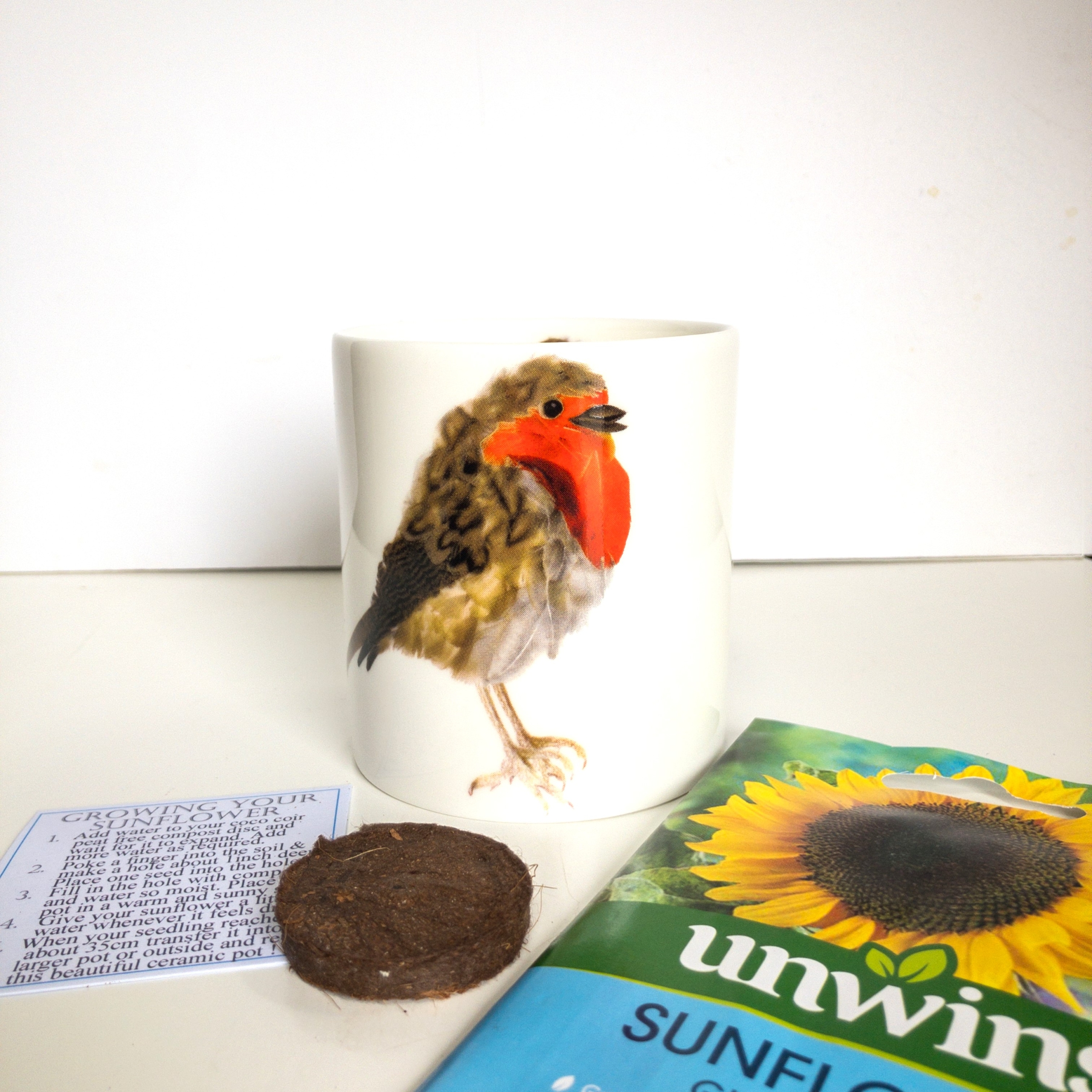 Fine Bone China Pot with Sunflower Seed Robin
