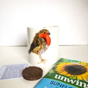 Fine Bone China Pot with Sunflower Seed Robin